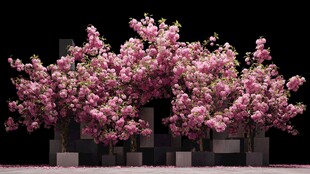 梦幻粉色繁花树木景观