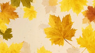 秋日枫叶背景图