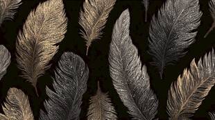 金属质感羽毛图案背景