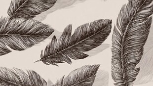 手绘羽毛图案 优雅自然风