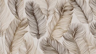 羽毛纹理背景图