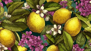 柠檬花卉图案的清新壁纸