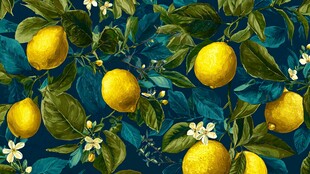 柠檬花卉图案的精美背景