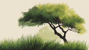 孤树挺立在葱郁草地间