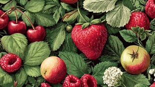 缤纷浆果与苹果的清新组合