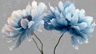 梦幻蓝白花卉特写