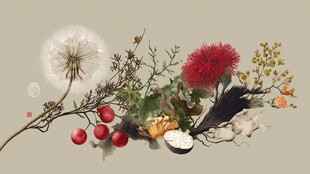 自然花卉与果实的美妙组合