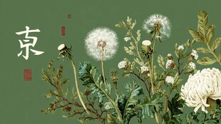 中式风蒲公英花卉插画