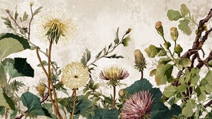 复古风花卉植物插画图