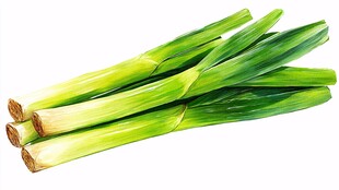新鲜翠绿大葱 水灵葱茎