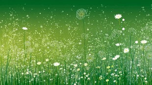 春日绿野中的蒲公英与雏菊