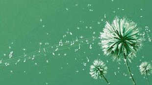 飘飞的蒲公英与灵动音符