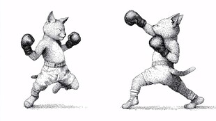 拳击猫咪的动感姿态