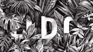 黑白植物环绕的字母图案