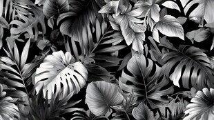 黑白热带植物叶片图案