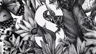 黑白花卉字母装饰图案