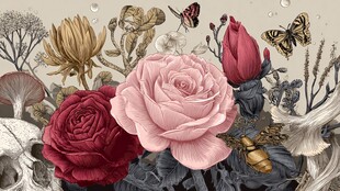 复古风花卉与蝴蝶插画