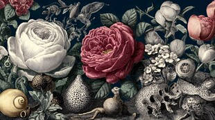 花卉与自然元素的精美图案