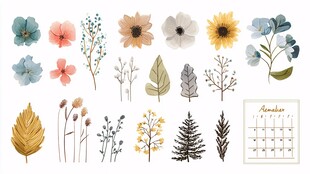 手绘花卉植物元素集合