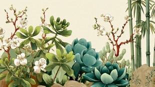 清新多肉绿植花卉组合图