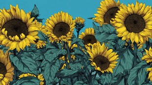 向日葵花海的绚丽景致