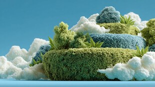 梦幻绿植云朵微景观