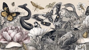 复古风动植物插画艺术