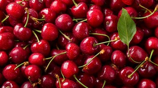 饱满鲜红的多汁樱桃