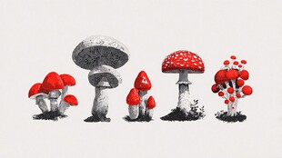 奇幻蘑菇插画集合