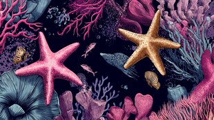 梦幻海底世界的海星珊瑚