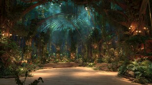 梦幻森林中的神秘光影通道