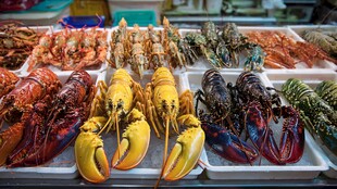 多彩龙虾陈列展示