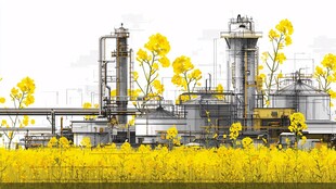 油菜田中矗立的工业装置