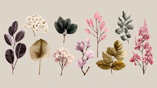 多彩植物枝叶插画素材