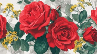 红玫瑰花卉图案背景图