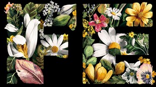 花卉字母装饰图案设计