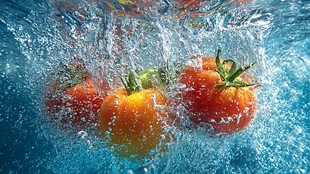 番茄入水激起晶莹水花