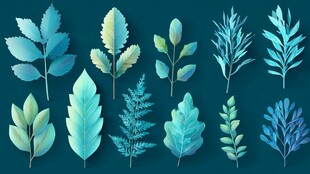 清新蓝调叶片插画集合