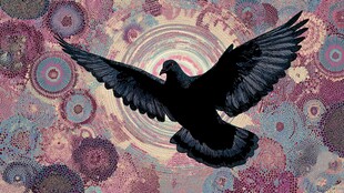 飞翔黑鸽与多彩花纹背景