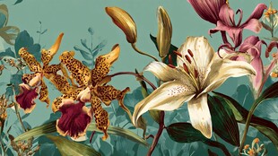 热带花卉精美图案