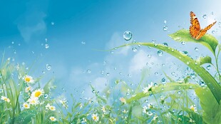 春日草地蝴蝶梦幻场景