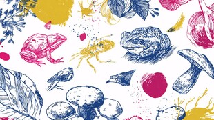 多彩手绘动植物图案集合