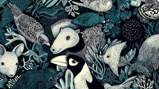 动物森林插画图案设计