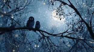 雪夜双猫头鹰栖于枝头