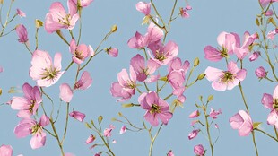 蓝天下的粉嫩花卉绽放