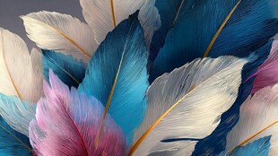 多彩梦幻羽毛艺术特写