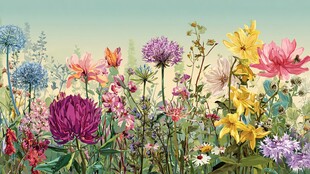 缤纷花海 绽放自然之美