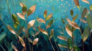 海底绿植景观梦幻画面