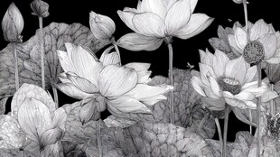 黑白水墨风荷花花卉图