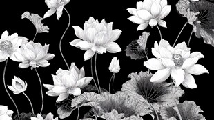 黑白水墨风荷花图案